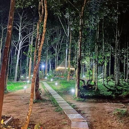 סולטאן באטרי Tall Trees - Modern Forest Villa In Wayanad מראה חיצוני תמונה