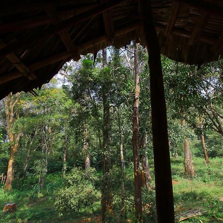 סולטאן באטרי Tall Trees - Modern Forest Villa In Wayanad מראה חיצוני תמונה