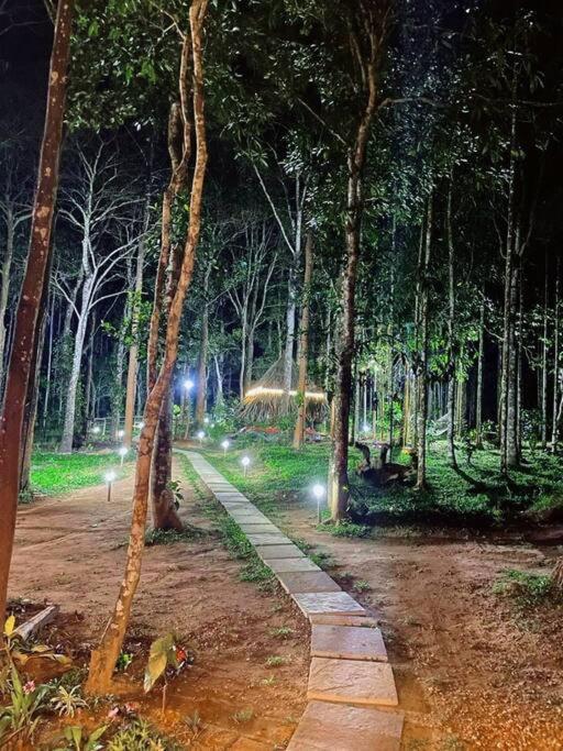 סולטאן באטרי Tall Trees - Modern Forest Villa In Wayanad מראה חיצוני תמונה