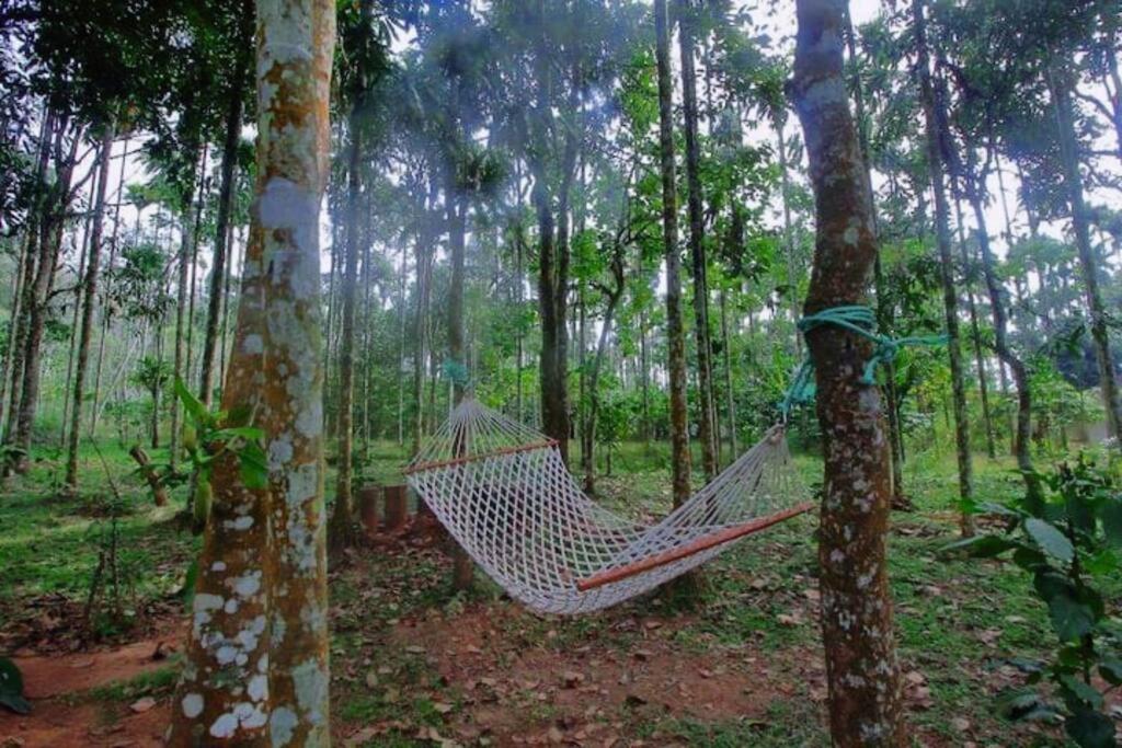 סולטאן באטרי Tall Trees - Modern Forest Villa In Wayanad מראה חיצוני תמונה