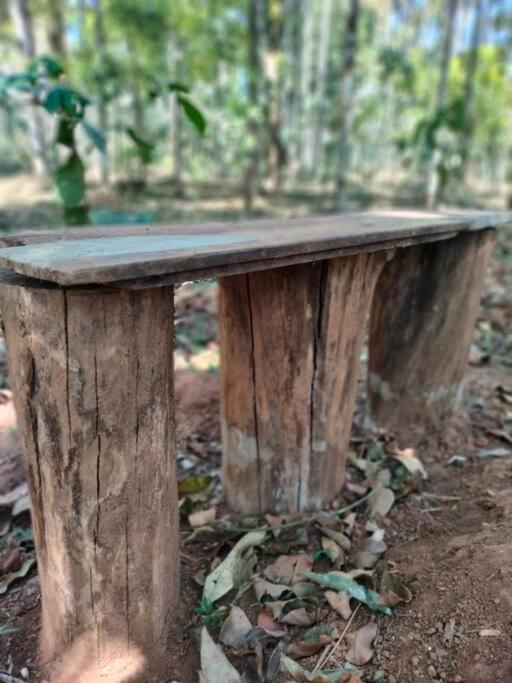 סולטאן באטרי Tall Trees - Modern Forest Villa In Wayanad מראה חיצוני תמונה