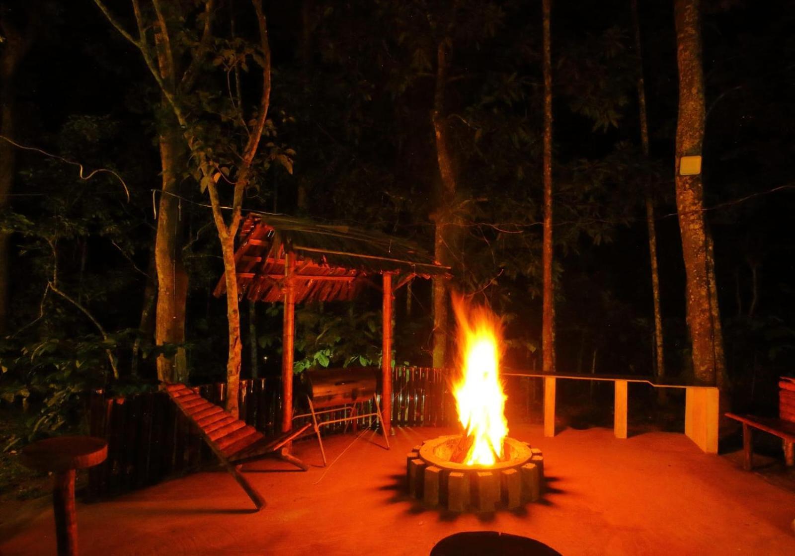 סולטאן באטרי Tall Trees - Modern Forest Villa In Wayanad מראה חיצוני תמונה
