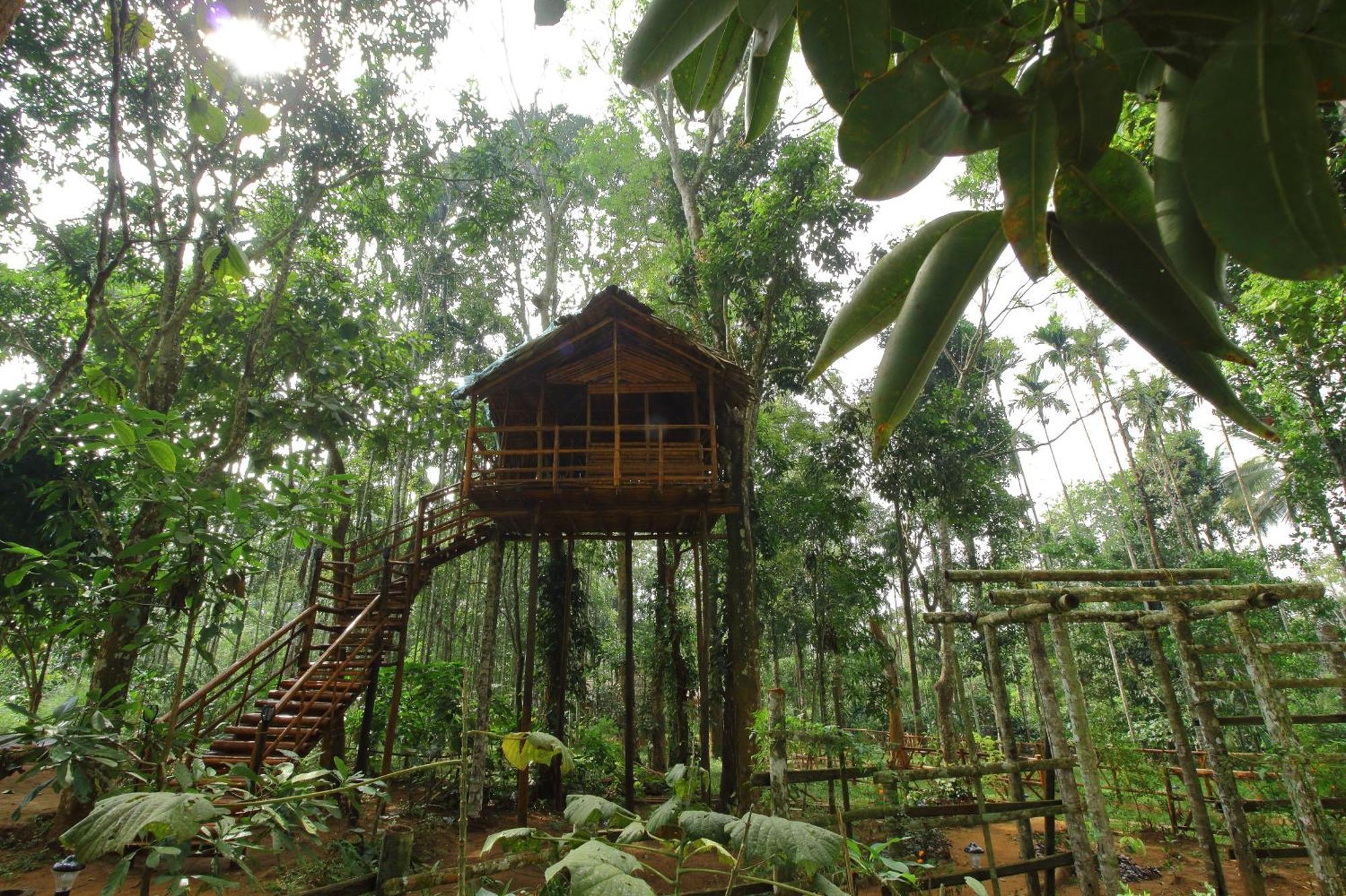 סולטאן באטרי Tall Trees - Modern Forest Villa In Wayanad מראה חיצוני תמונה